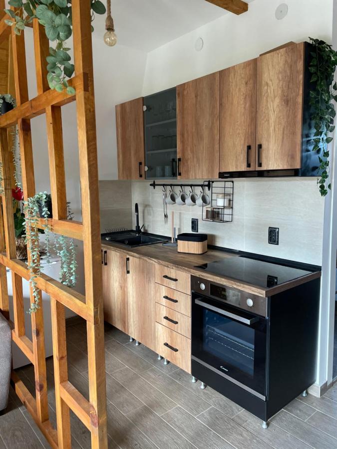 Vila Grujic Vrdnik Extérieur photo