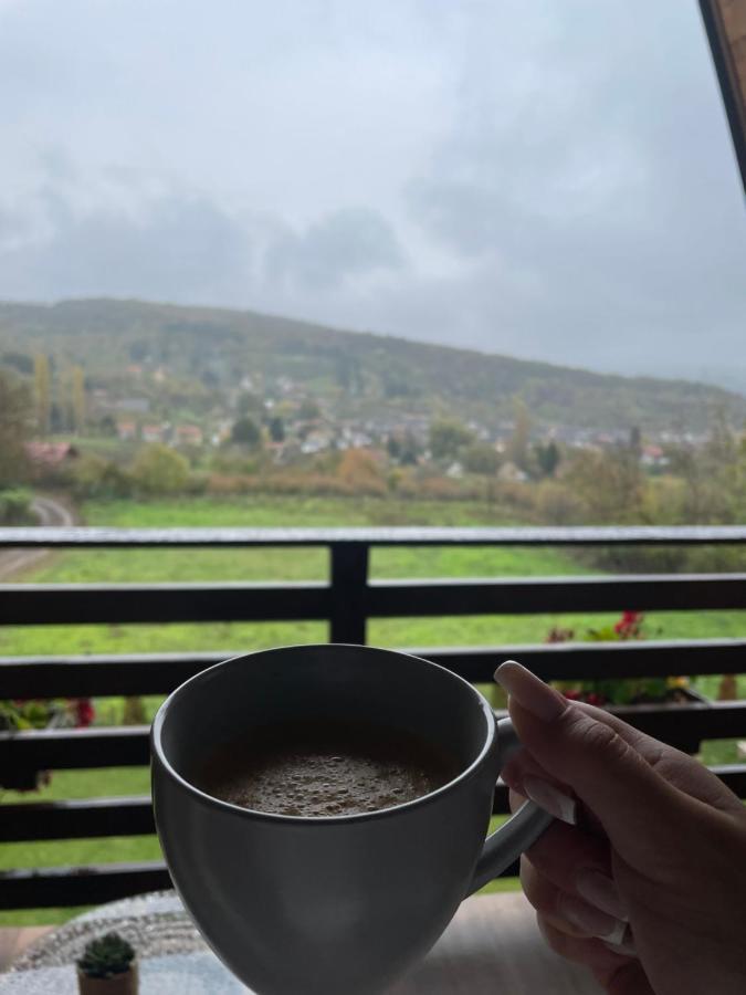 Vila Grujic Vrdnik Extérieur photo